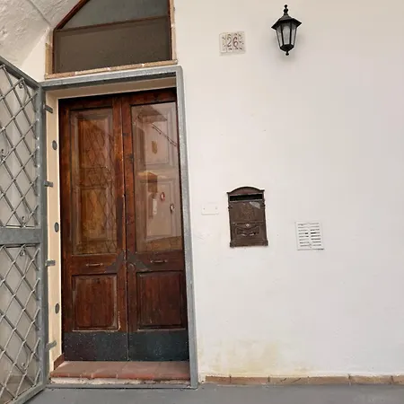 Creeda Matino